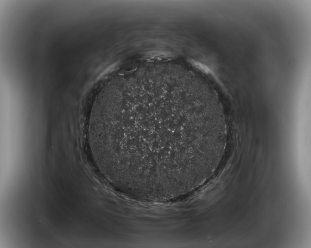 X0000086241399200704051209