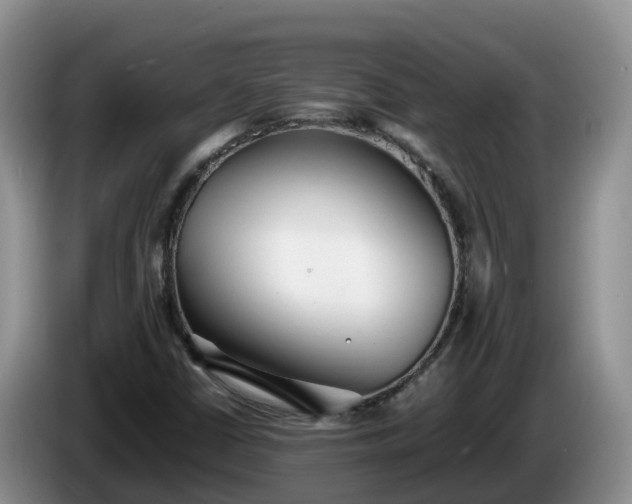 X0000086241402200704051209