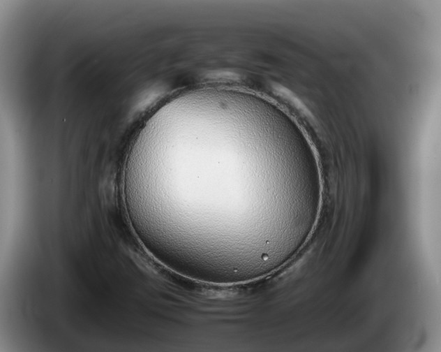 X0000086241403200704051209