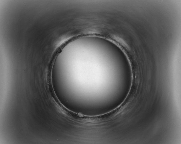 X0000086241404200704051209