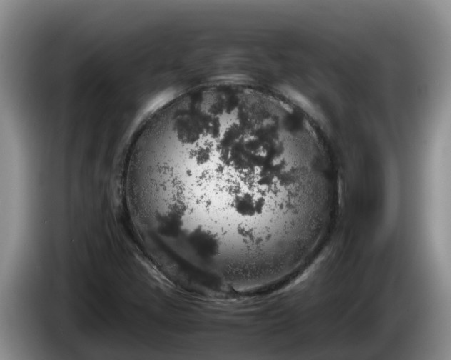 X0000086241405200704051209