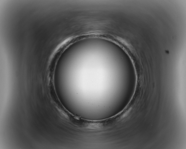 X0000086241406200704051209