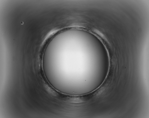 X0000086241408200704051209