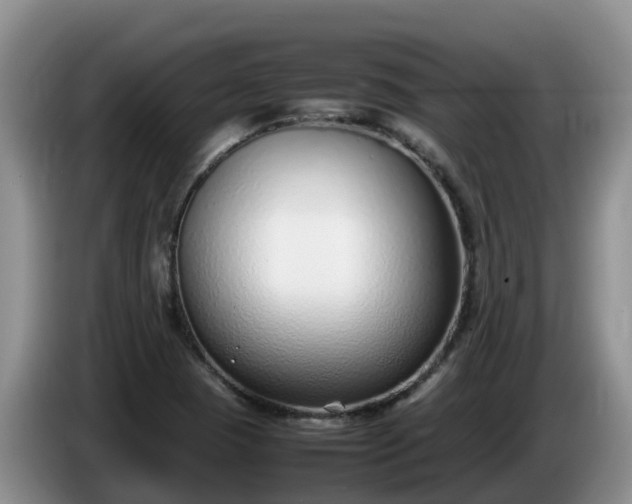 X0000086241409200704051209