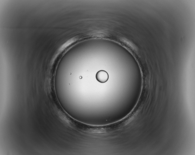 X0000086241410200704051209