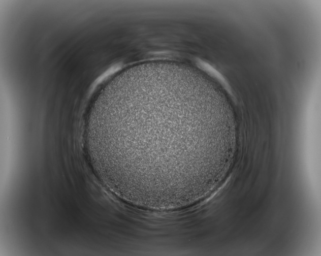 X0000086241411200704051209