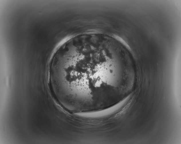 X0000086241413200704051209