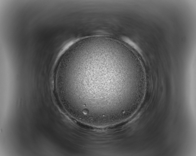 X0000086241415200704051209