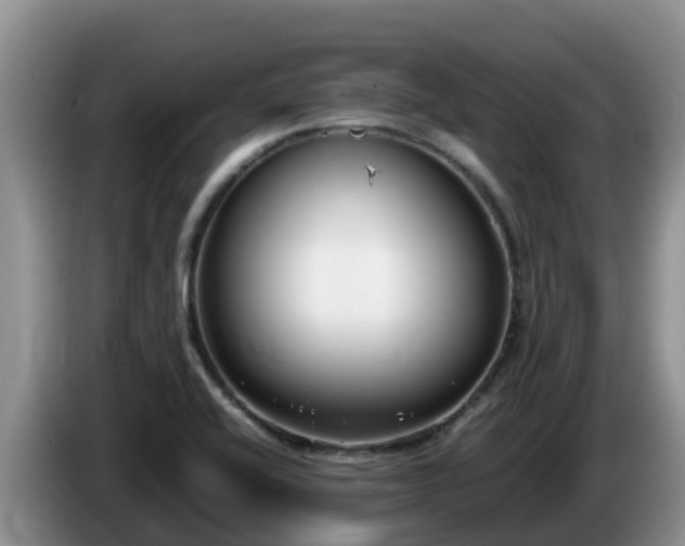 X0000086241416200704051209