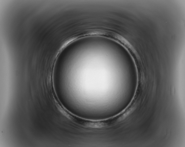 X0000086241417200704051209