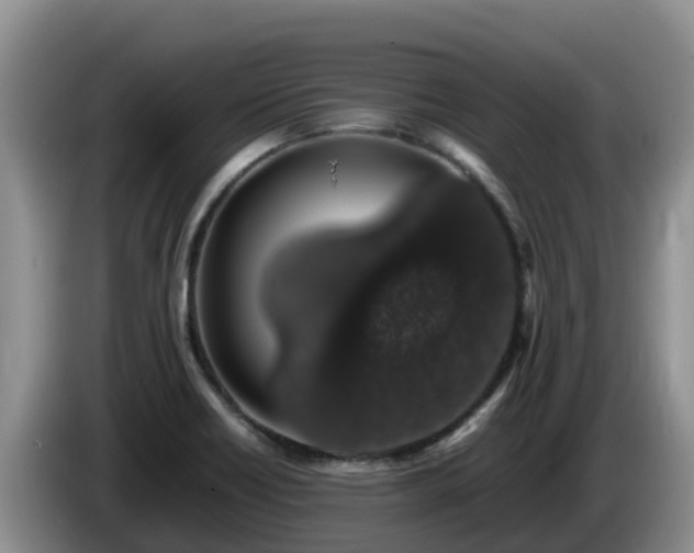 X0000086241418200704051209
