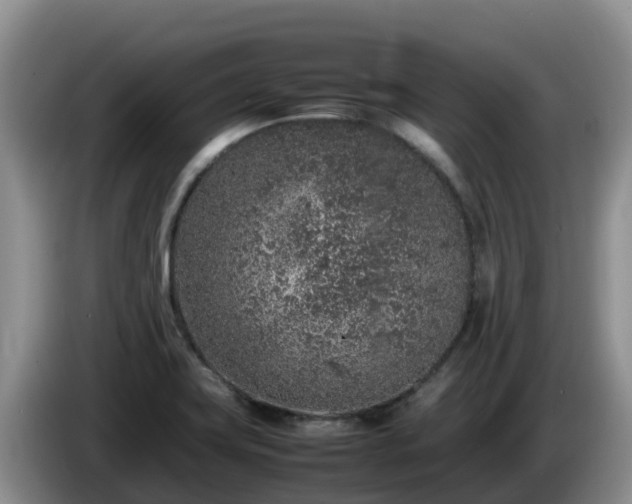 X0000086241419200704051209