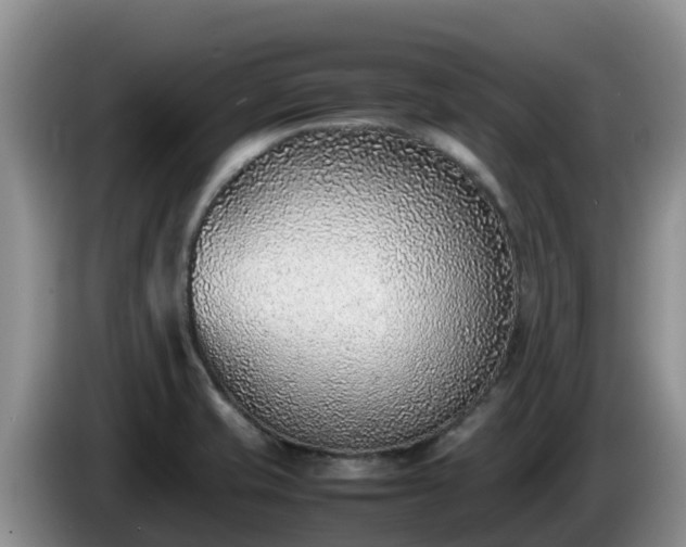X0000086241421200704051209