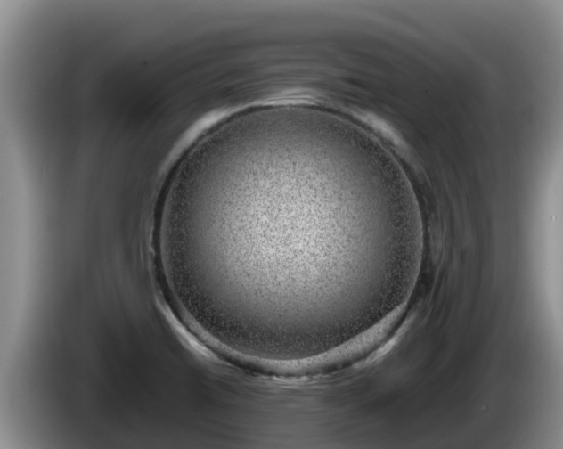 X0000086241422200704051209
