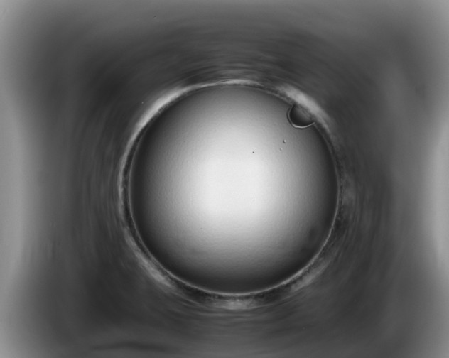 X0000086241423200704051209