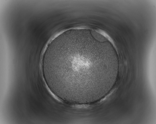 X0000086241429200704051209