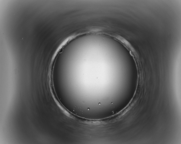 X0000086241432200704051209