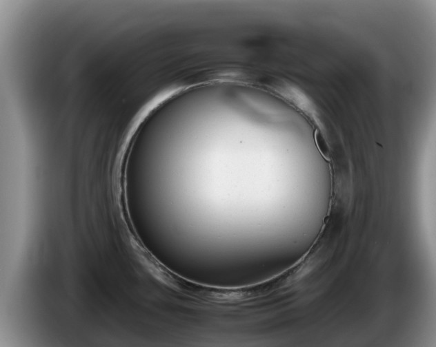 X0000086241435200704051209
