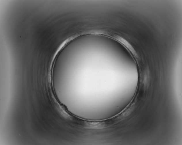 X0000086241436200704051209