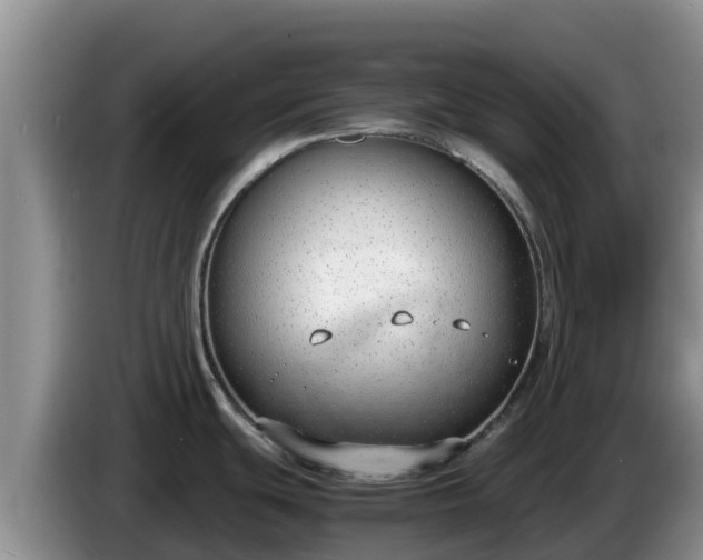 X0000086241439200704051209