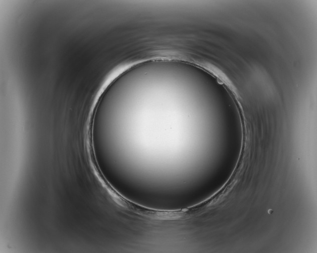 X0000086241440200704051209