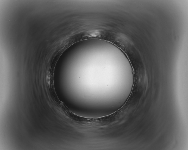 X0000086241442200704051208