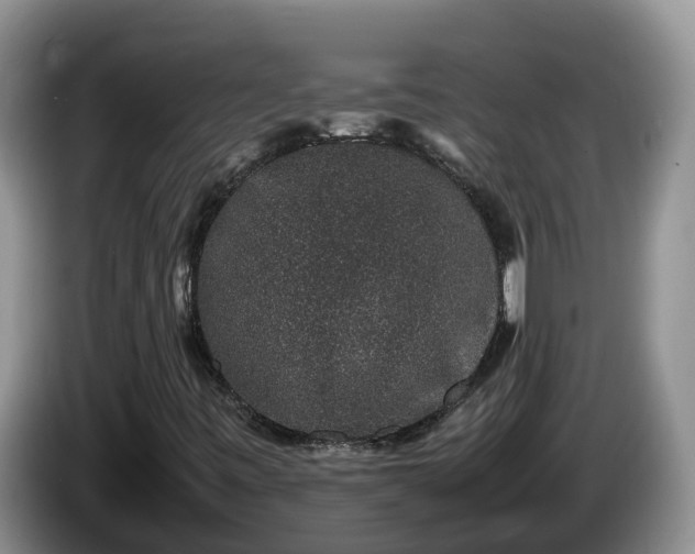 X0000086241443200704051208