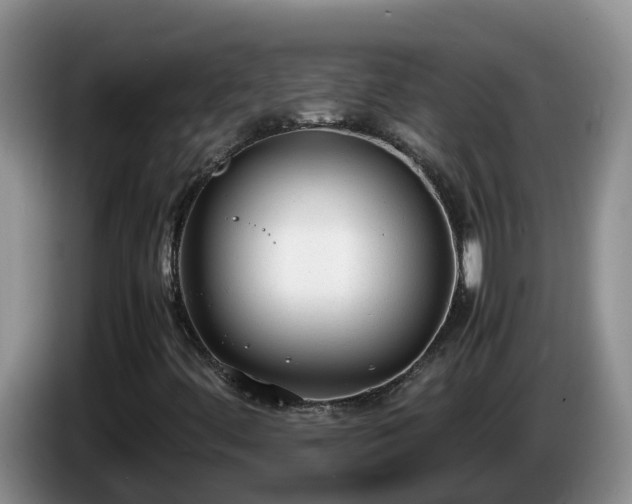 X0000086241444200704051208