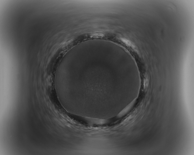 X0000086241445200704051208
