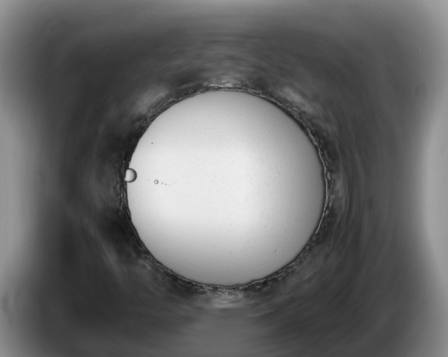X0000086241446200704051208