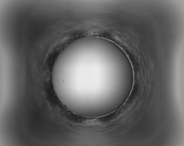 X0000086241447200704051208