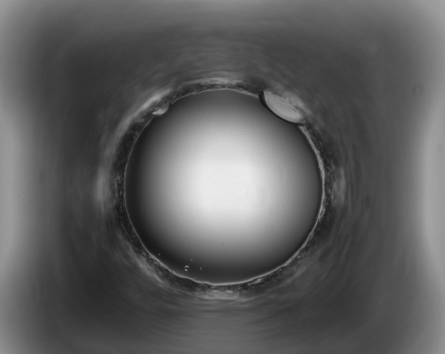 X0000086241448200704051208