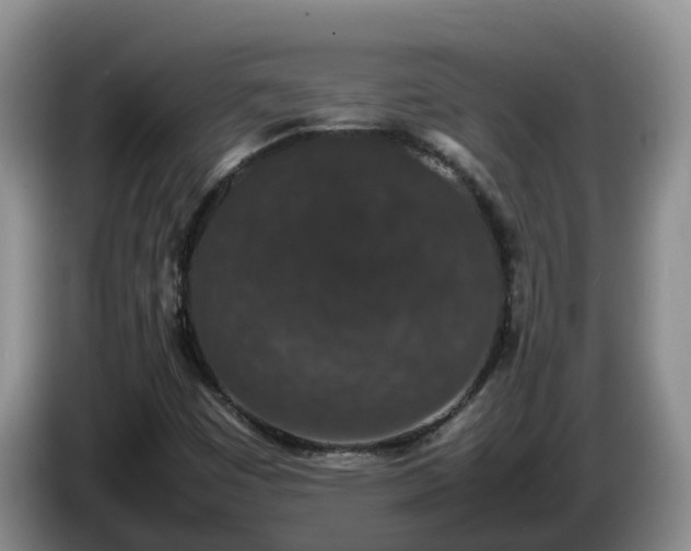 X0000086241449200704051208