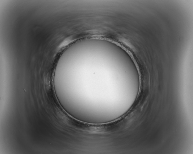 X0000086241451200704051208