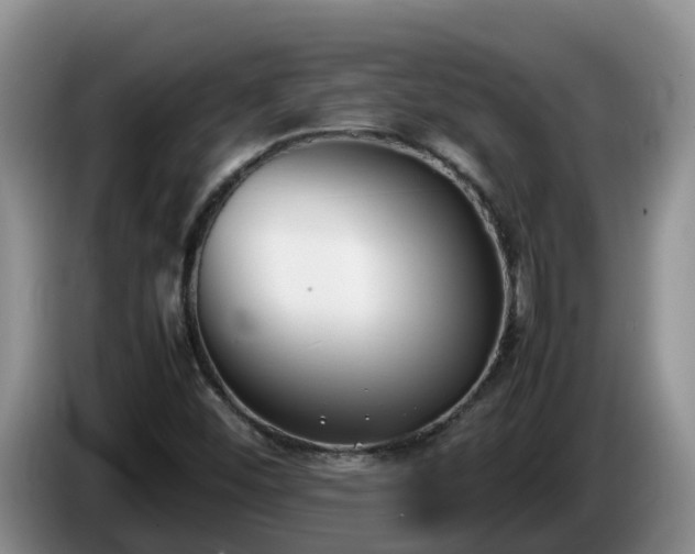 X0000086241452200704051208
