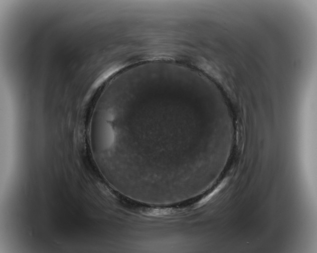 X0000086241453200704051208