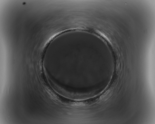 X0000086241455200704051208