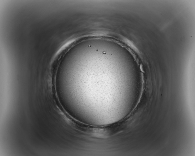 X0000086241456200704051208