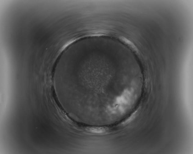 X0000086241457200704051208