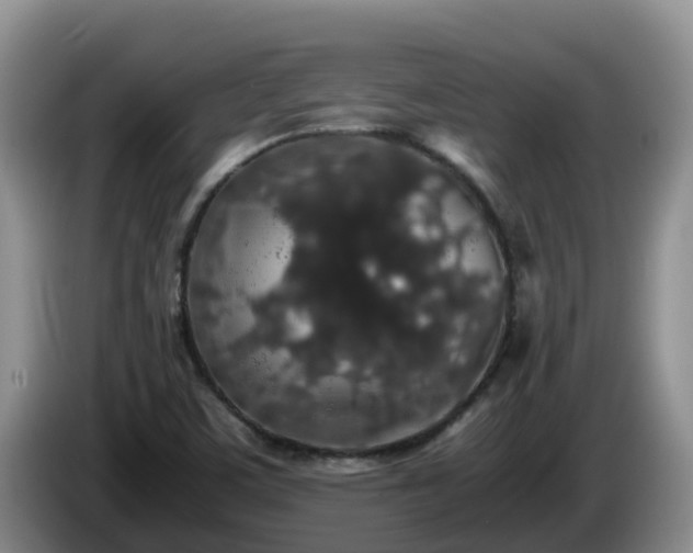 X0000086241459200704051208