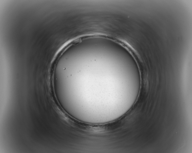 X0000086241460200704051208