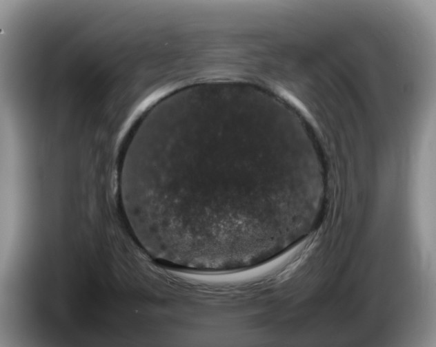 X0000086241461200704051208