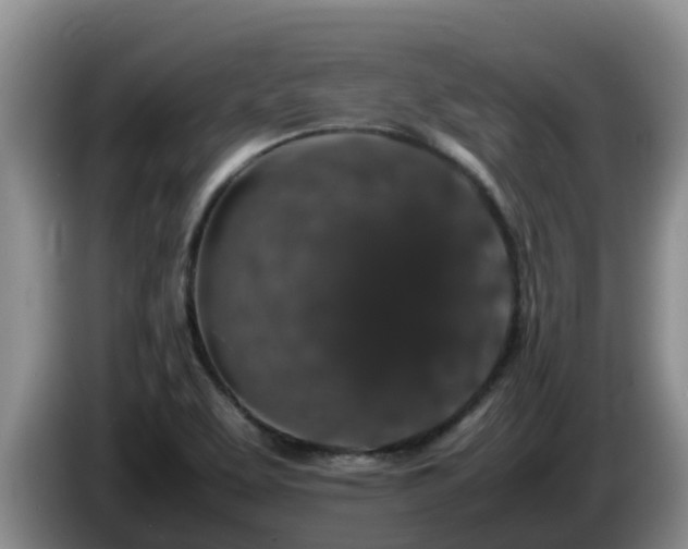 X0000086241463200704051208