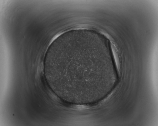 X0000086241465200704051208