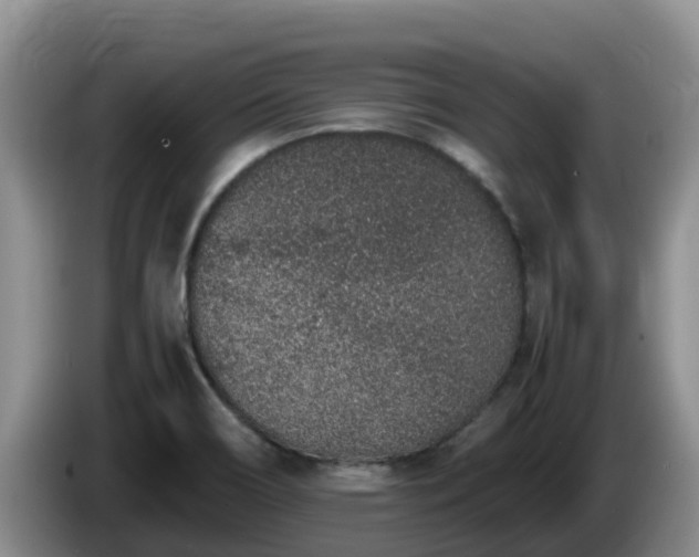 X0000086241466200704051208