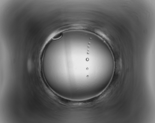X0000086241467200704051208