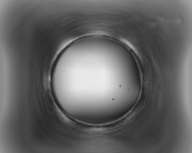 X0000086241468200704051208