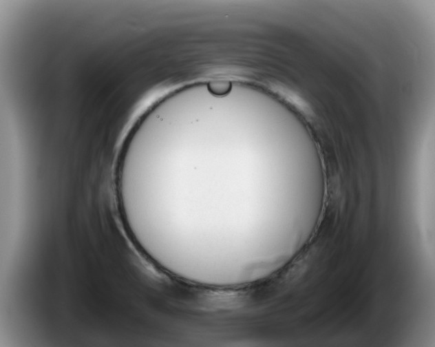 X0000086241470200704051208