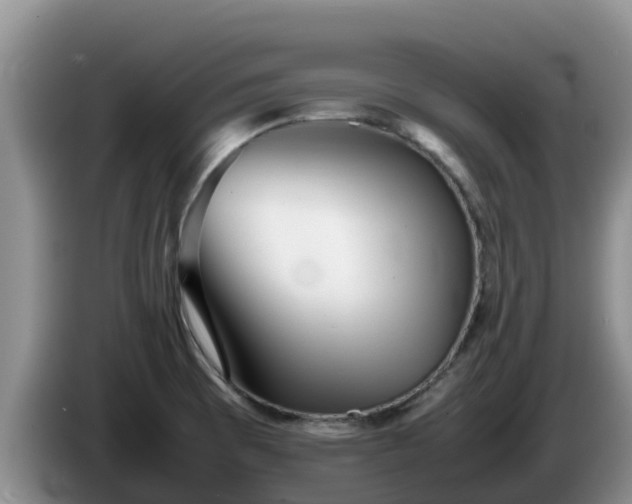 X0000086241473200704051208