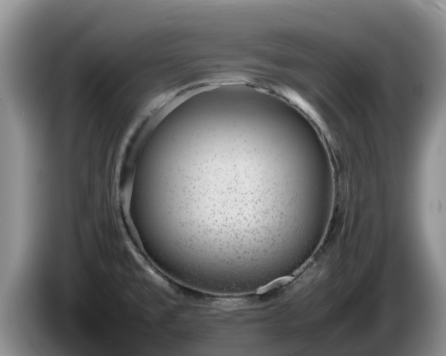 X0000086241477200704051208